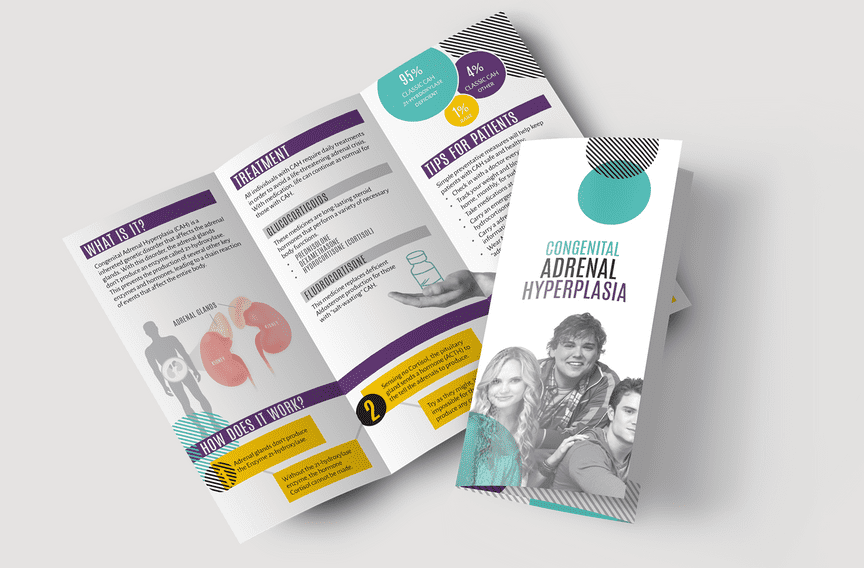 Two trifold brochures with the same design carefully arranged on a neutral background